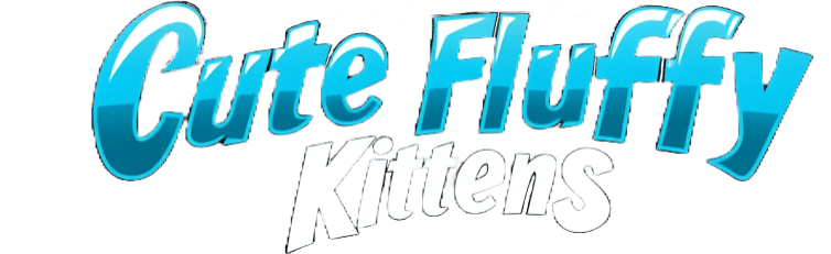 cutefluffykittens.com
